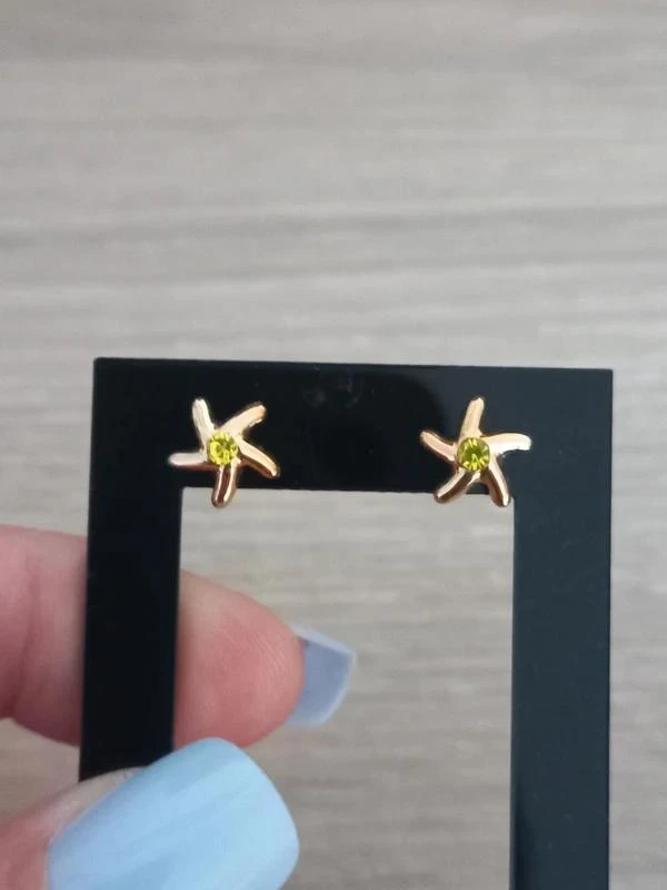 Paire De Boucles D'Oreilles Doré "Étoile"